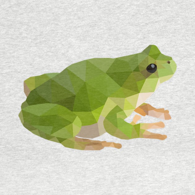 Low Poly Frog by Bobbys Store